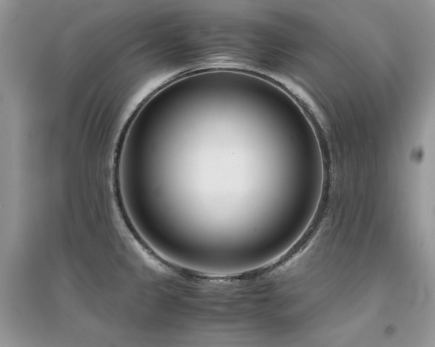 X0000094971333200711291454