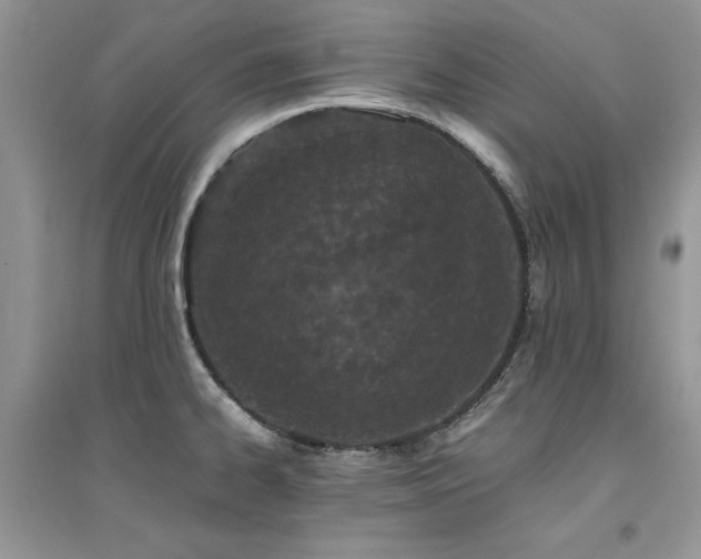 X0000094971334200711291454