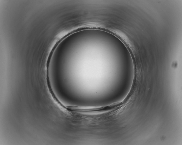 X0000094971335200711291454