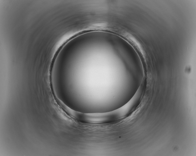 X0000094971336200711291454