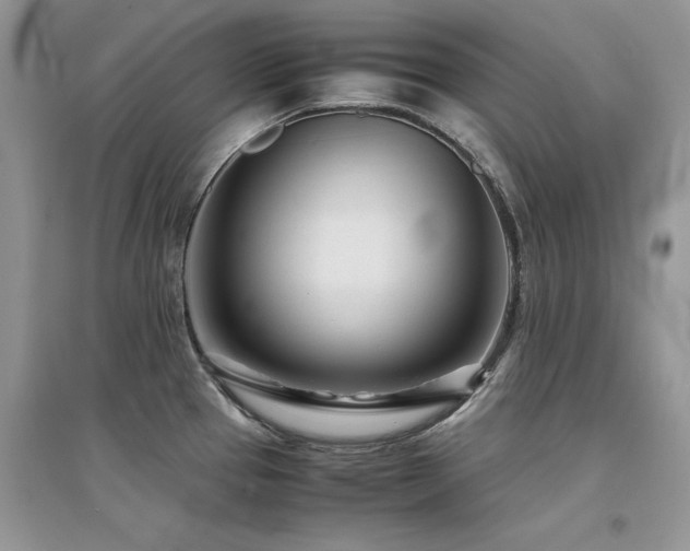 X0000094971337200711291454
