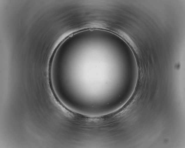 X0000094971339200711291454