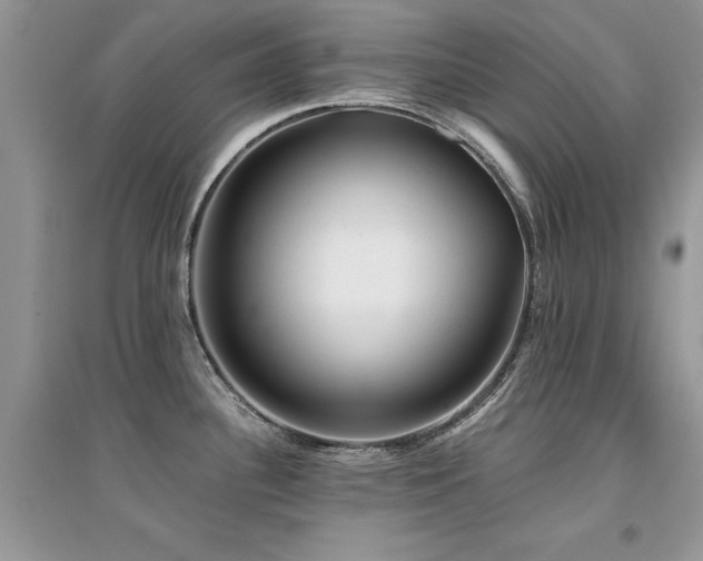 X0000094971340200711291454
