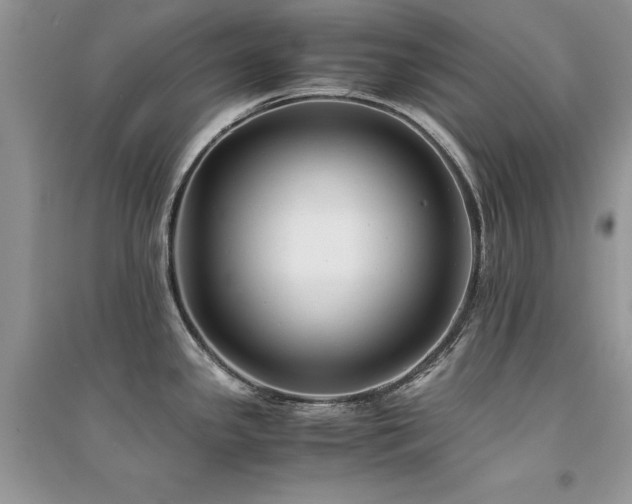 X0000094971341200711291454