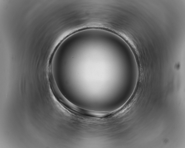 X0000094971342200711291454