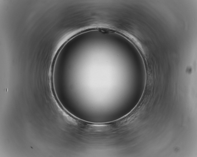 X0000094971343200711291455