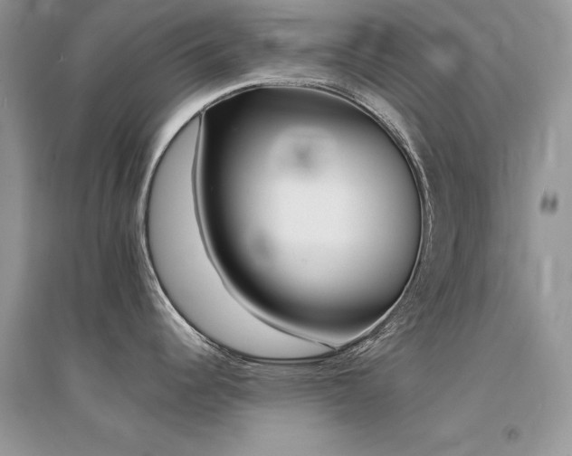X0000094971344200711291455