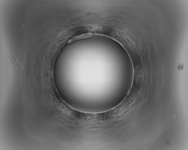 X0000094971345200711291454