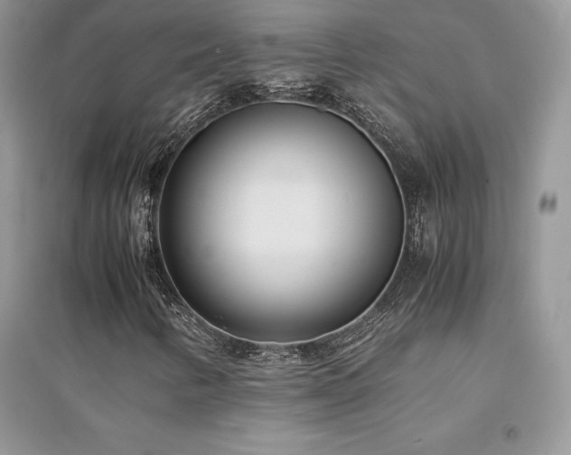 X0000094971346200711291454
