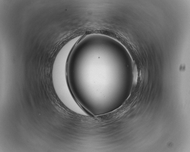 X0000094971348200711291454