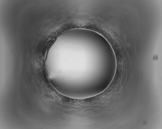 X0000094971349200711291454