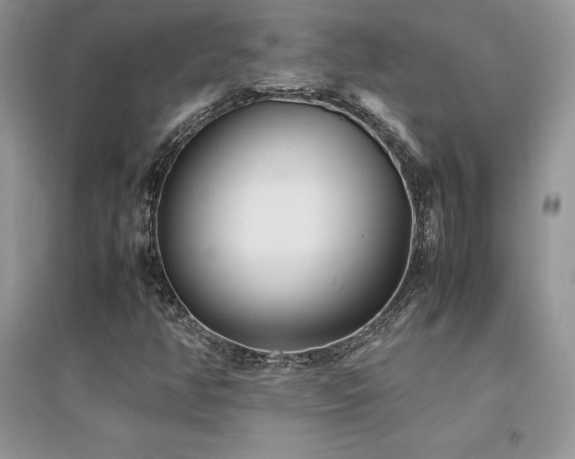 X0000094971350200711291454