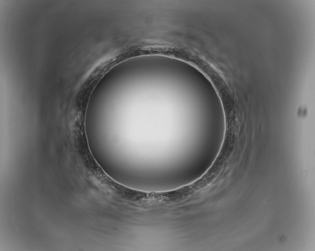 X0000094971351200711291454