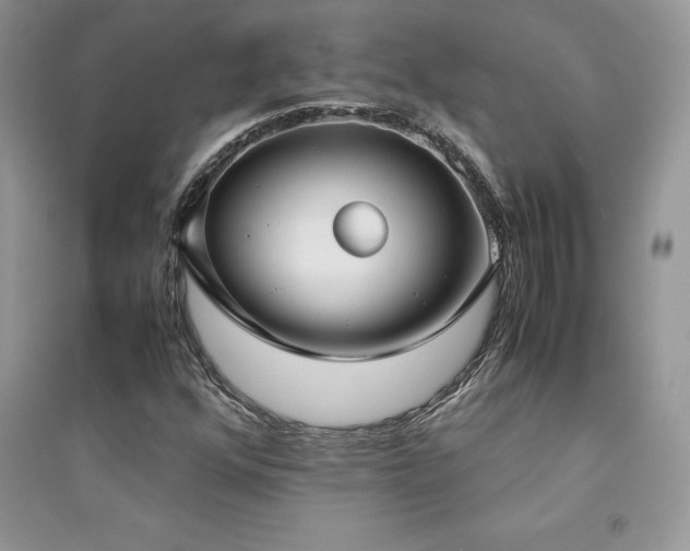 X0000094971352200711291454