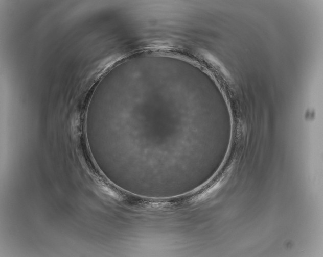 X0000094971353200711291454