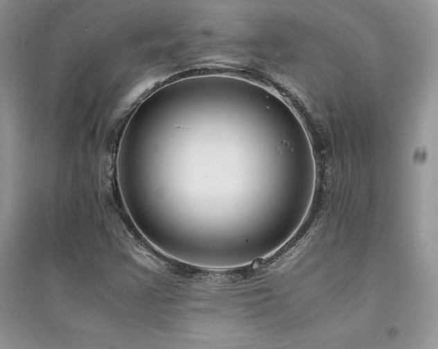 X0000094971355200711291454