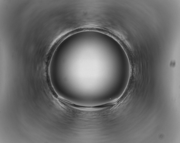 X0000094971356200711291454