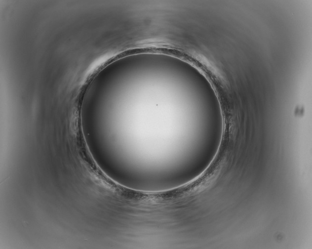 X0000094971358200711291454