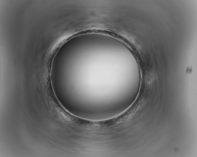X0000094971359200711291454