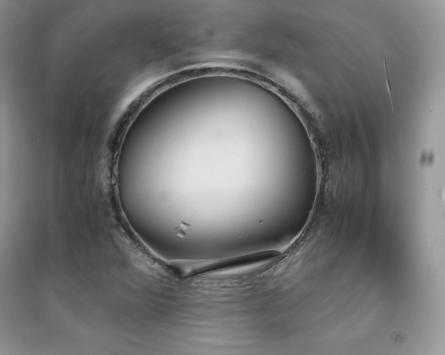 X0000094971360200711291454
