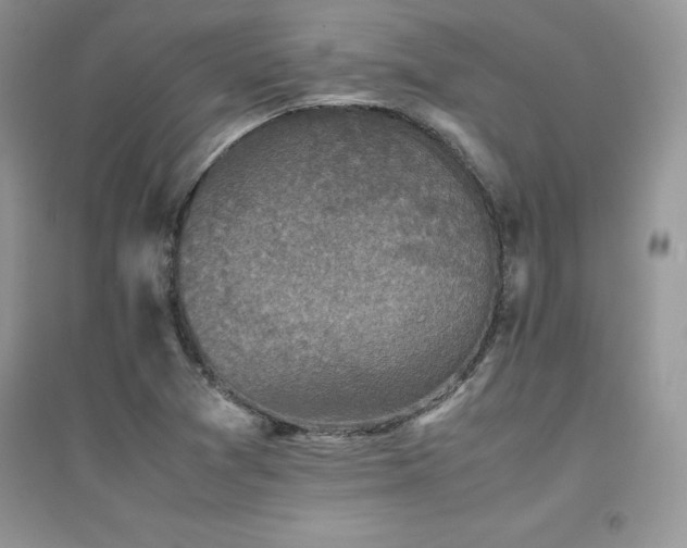 X0000094971361200711291454