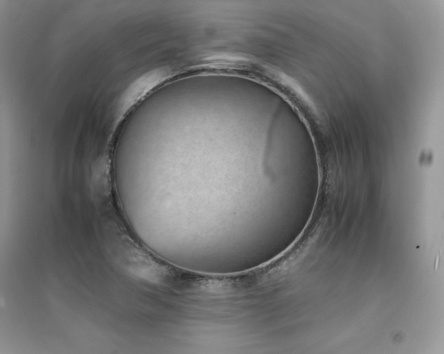 X0000094971362200711291454