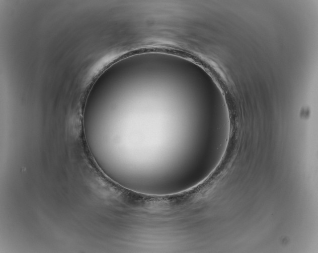 X0000094971363200711291454