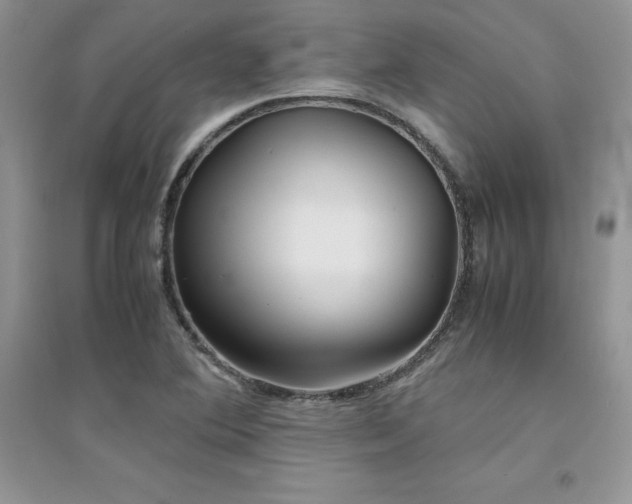 X0000094971364200711291453