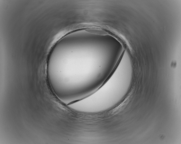 X0000094971365200711291453
