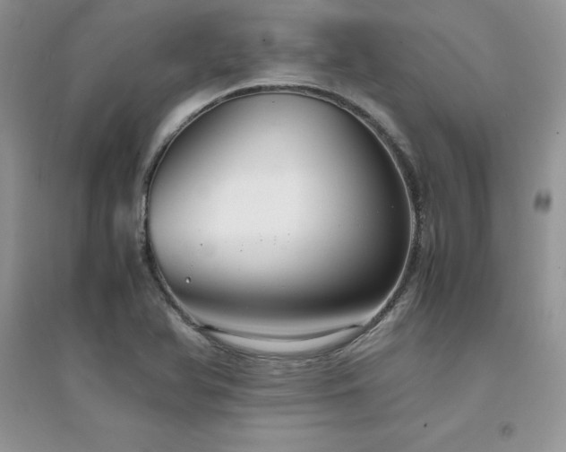 X0000094971366200711291453