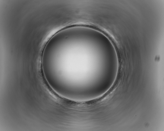 X0000094971367200711291453