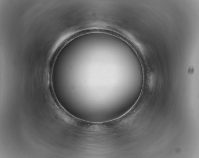 X0000094971368200711291453