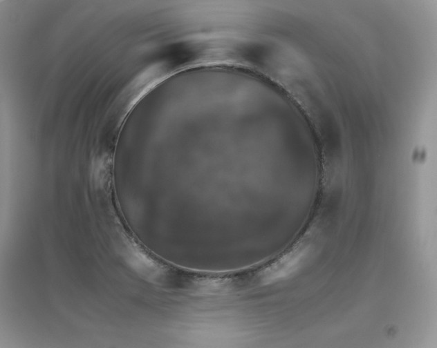 X0000094971369200711291453