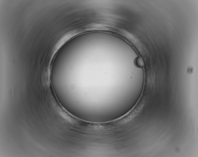 X0000094971370200711291453