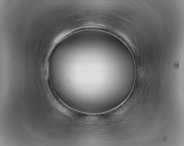 X0000094971371200711291453