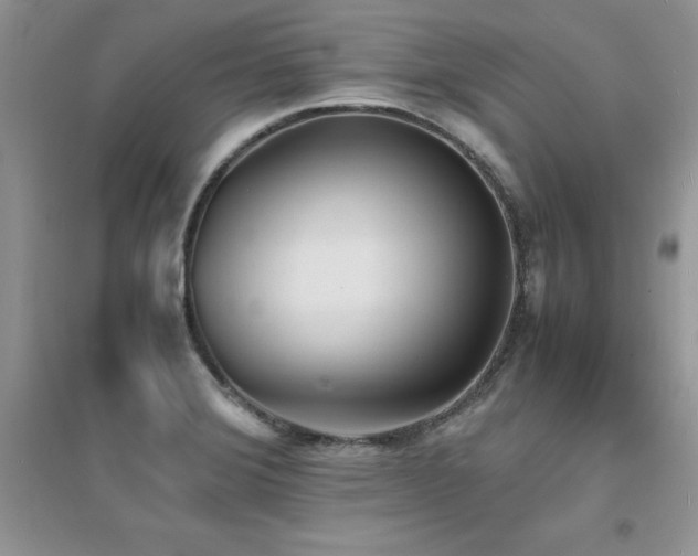 X0000094971372200711291453