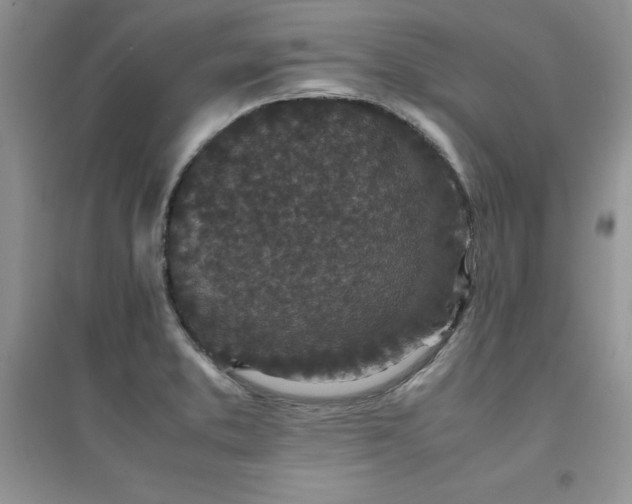 X0000094971373200711291453