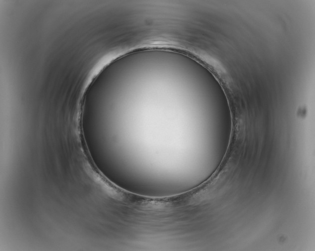 X0000094971374200711291453