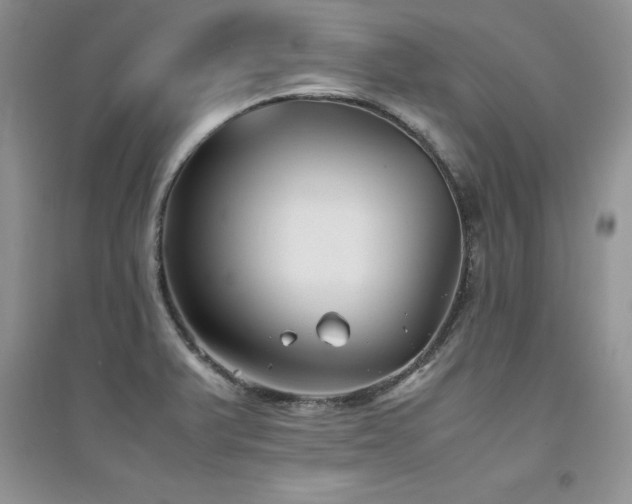 X0000094971375200711291453
