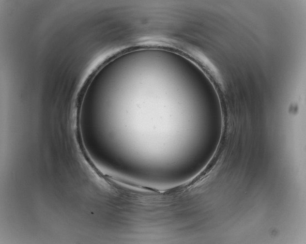 X0000094971376200711291453