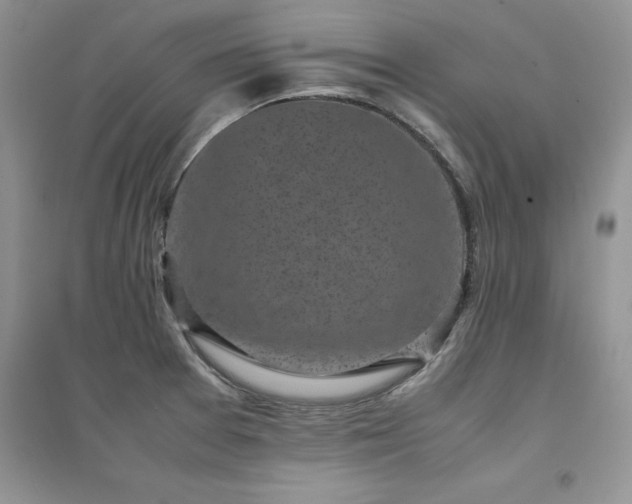 X0000094971377200711291453