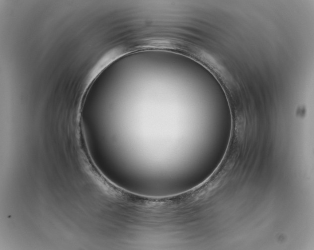 X0000094971378200711291453