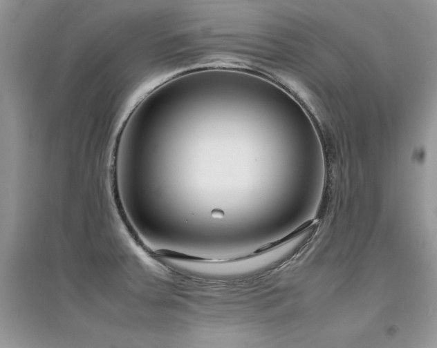 X0000094971379200711291453