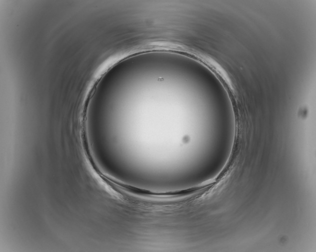 X0000094971381200711291453