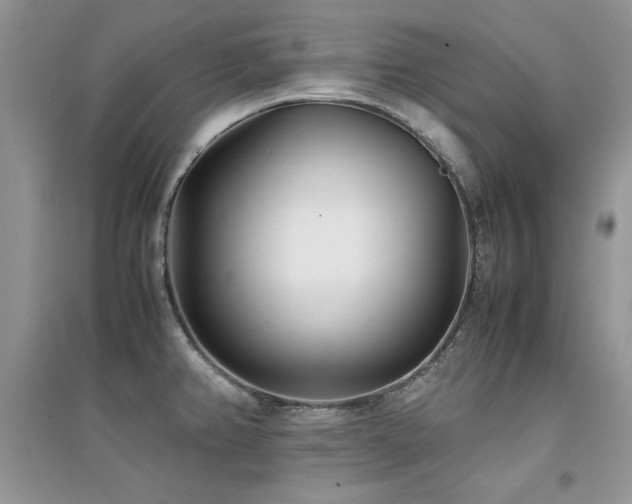 X0000094971382200711291453