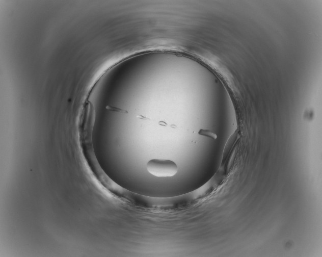 X0000094971383200711291453