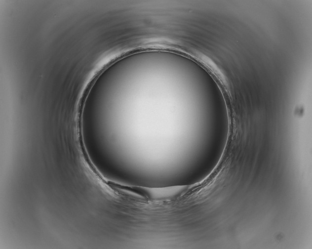 X0000094971384200711291453