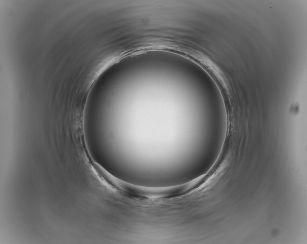 X0000094971385200711291453