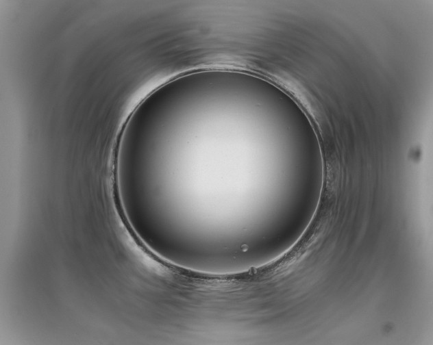 X0000094971387200711291453