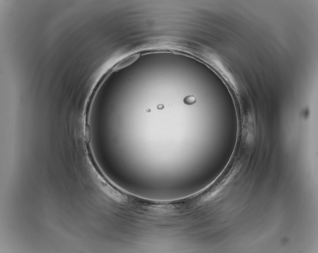 X0000094971388200711291453